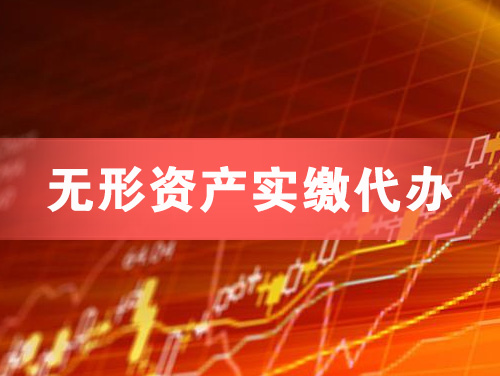 沅江无形资产实缴资本代办