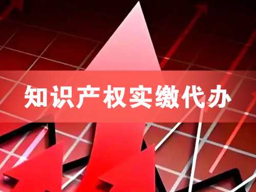 沅江知识产权实缴资本代办